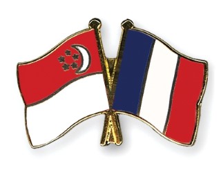 Company Formation Comparison: Singapore Vs. France